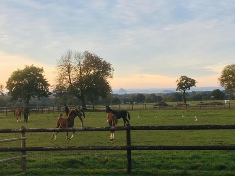 Bed & Breakfast La Bretonniere *
